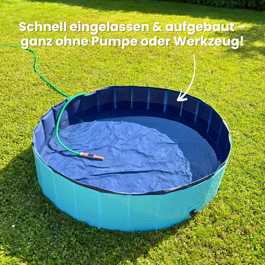 DogSplash – Pool für Hunde