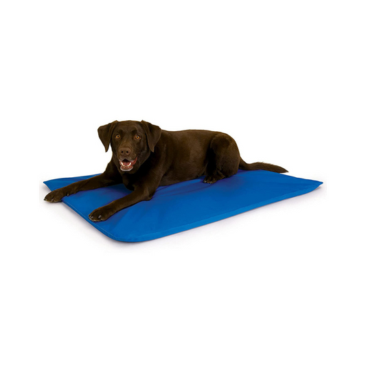 FreezePad – Kühlmatte für Haustiere