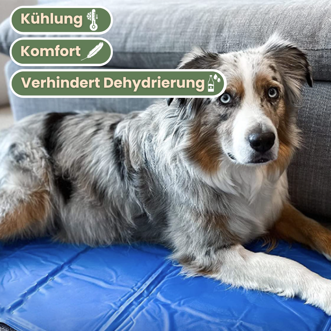 FreezePad – Kühlmatte für Haustiere