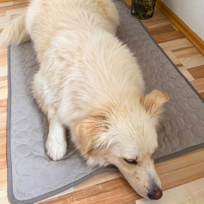 CoolingMat – Kühlmatte für Hunde
