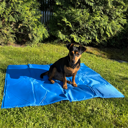 FreezePad – Kühlmatte für Haustiere