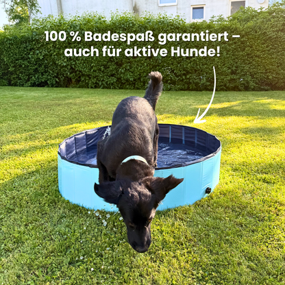 DogSplash – Pool für Hunde