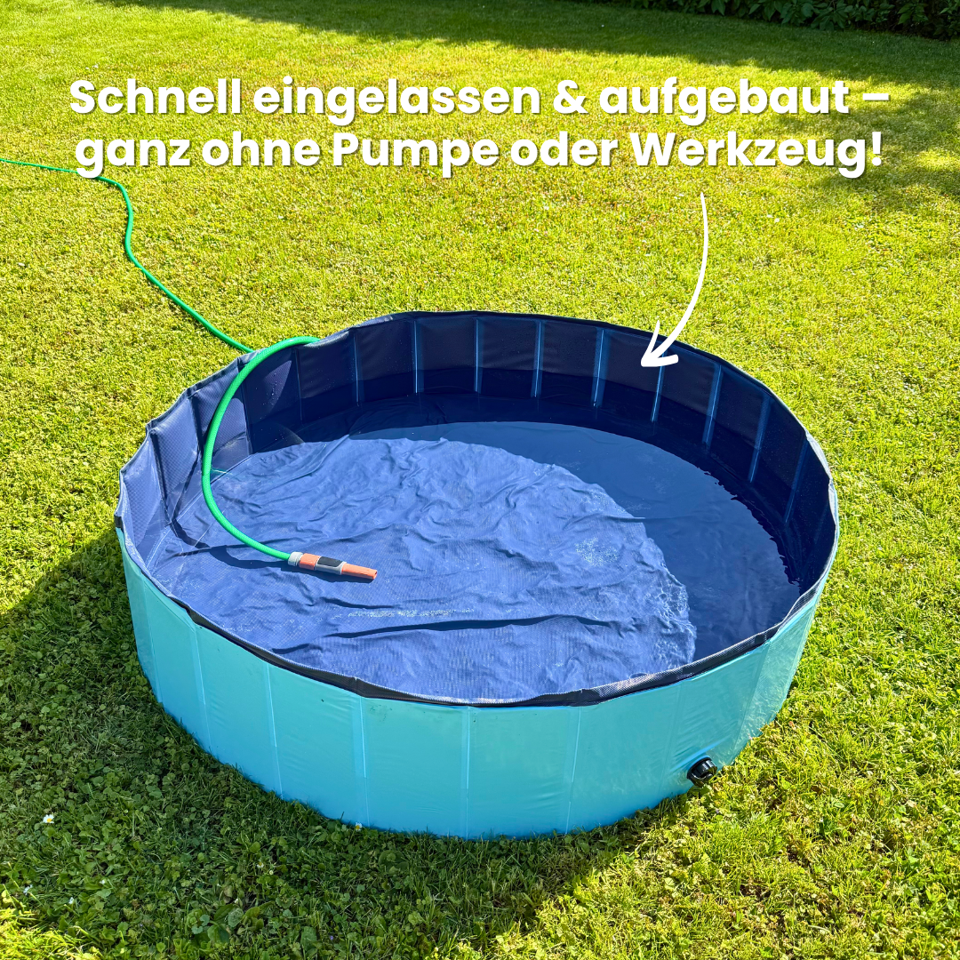 DogSplash – Pool für Hunde