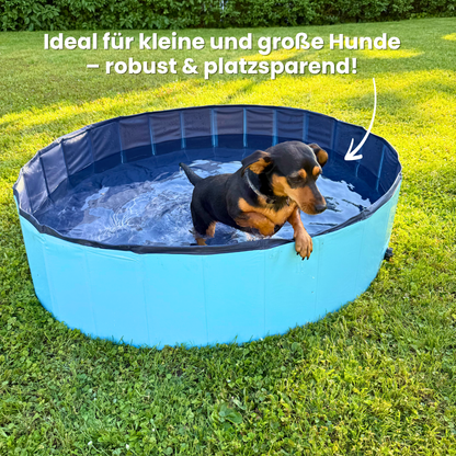 DogSplash – Pool für Hunde